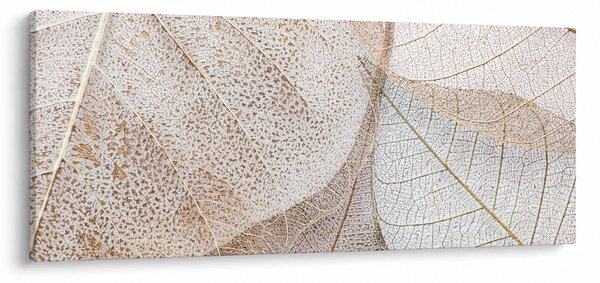 Kép - Bézs levelek (120x50 cm)