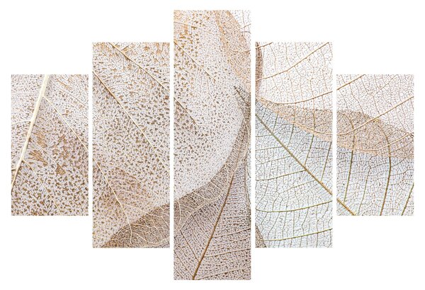 Kép - Bézs levelek (150x105 cm)