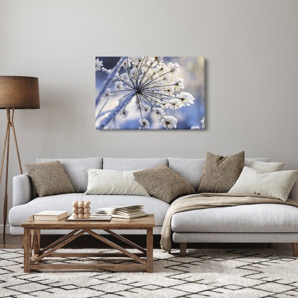 Kép - Fagyott virág (90x60 cm)