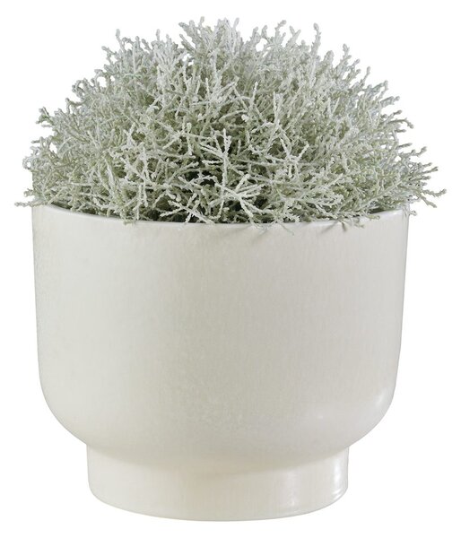 PLANT BOWL kaspó 26cm, fehér