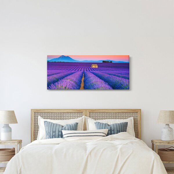 Kép - Levendula mező (120x50 cm)