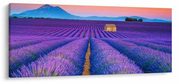 Kép - Levendula mező (120x50 cm)
