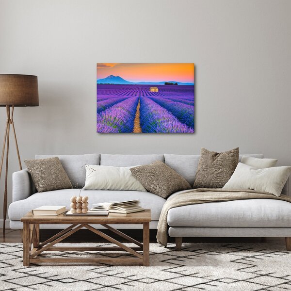 Kép - Levendula mező (70x50 cm)