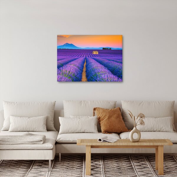 Kép - Levendula mező (70x50 cm)