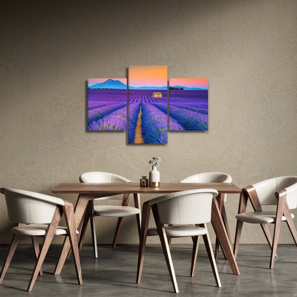 Kép - Levendula mező (90x60 cm)