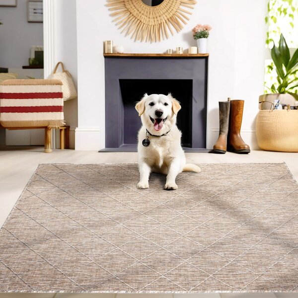 Bézs kültéri szőnyeg 120x170 cm Zagora – Ayyildiz Carpets
