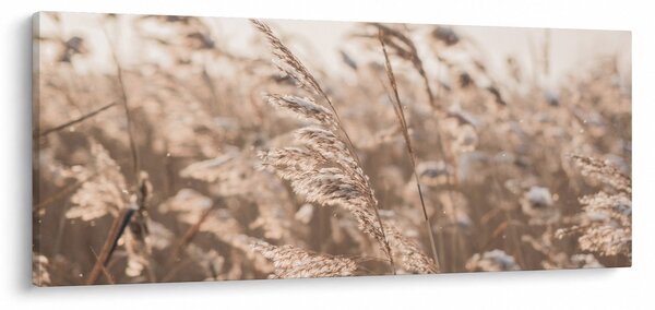 Kép - Réti szellő (120x50 cm)