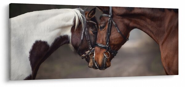 Kép - Szerelmes lovak (120x50 cm)