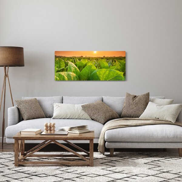 Kép - Mező (120x50 cm)