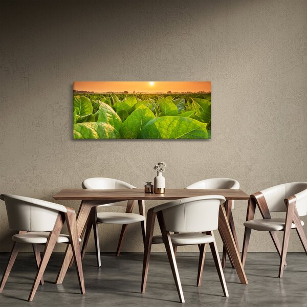 Kép - Mező (120x50 cm)