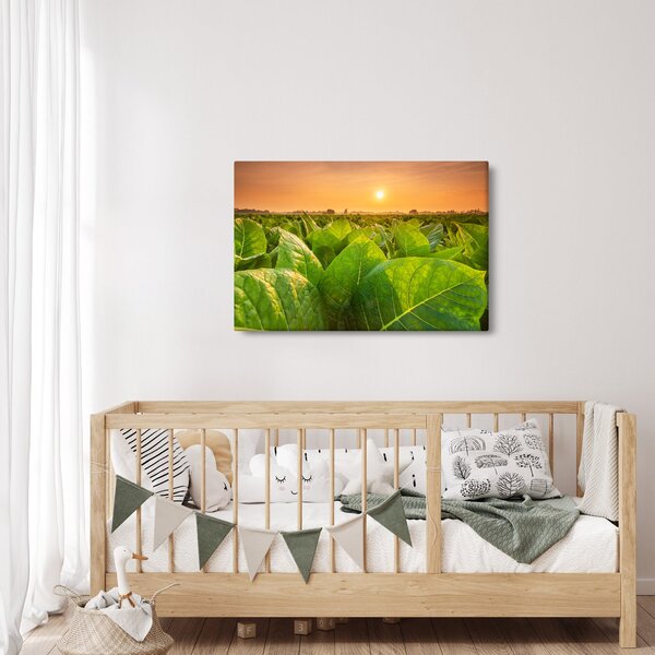 Kép - Mező (90x60 cm)