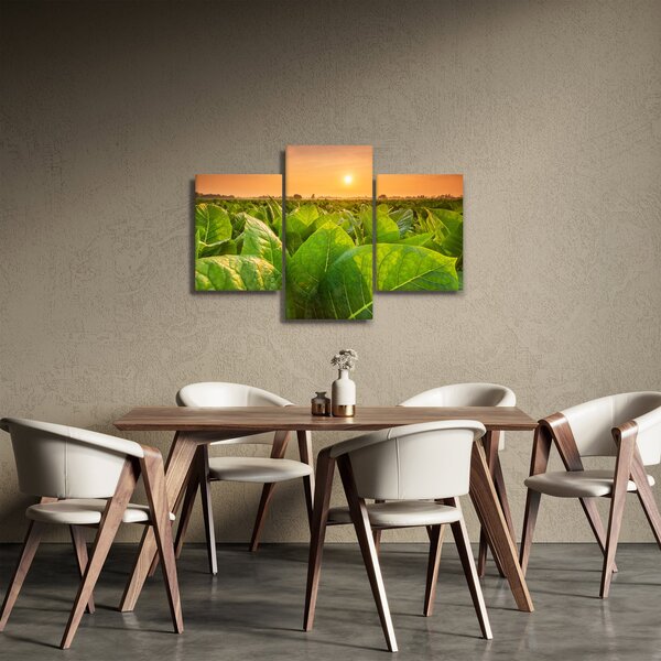 Kép - Mező (90x60 cm)