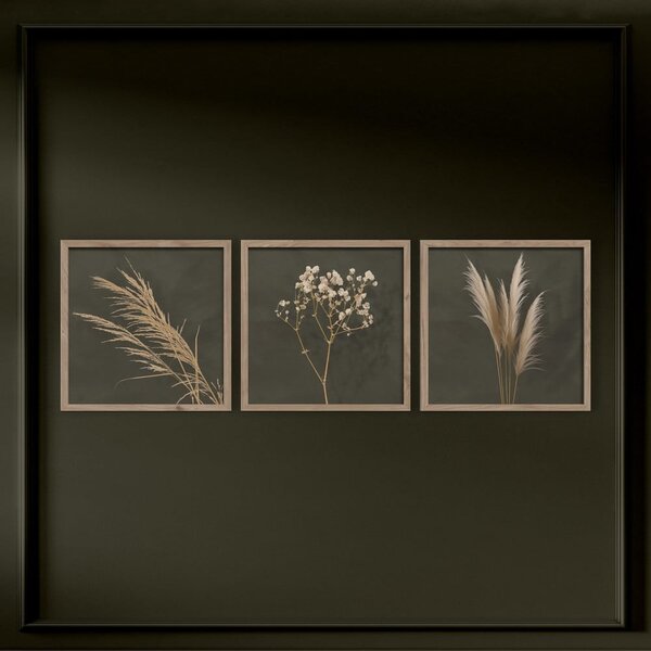 Kép szett 3 db-os 30x30 cm Pampas – Styler