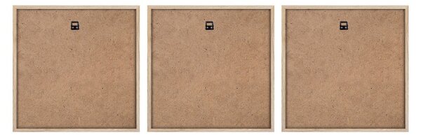 Kép szett 3 db-os 30x30 cm Pampas – Styler
