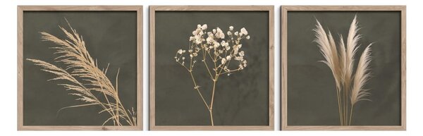 Kép szett 3 db-os 30x30 cm Pampas – Styler