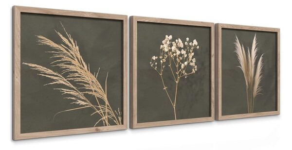 Kép szett 3 db-os 30x30 cm Pampas – Styler