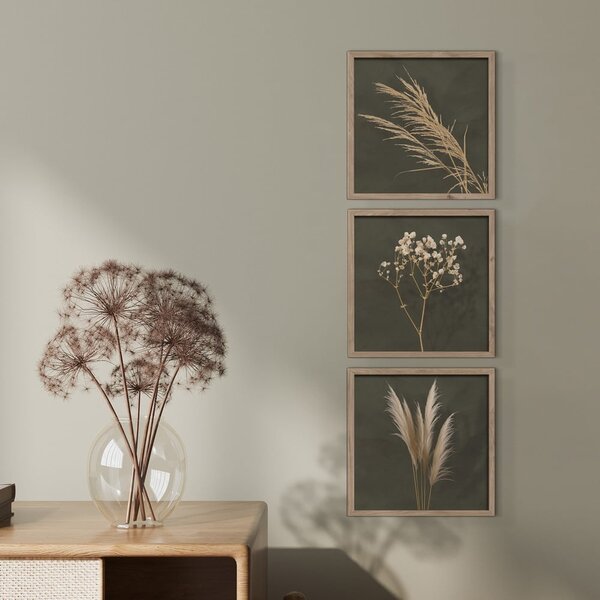 Kép szett 3 db-os 30x30 cm Pampas – Styler