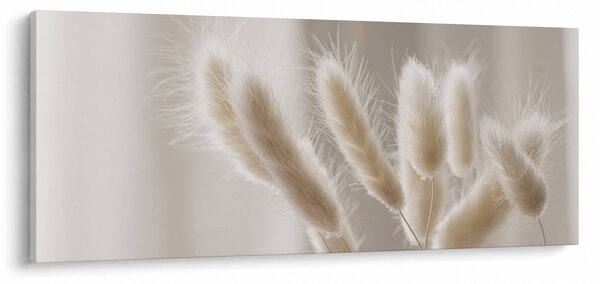 Kép - Nyúl farok (120x50 cm)