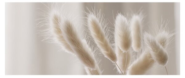 Kép - Nyúl farok (120x50 cm)