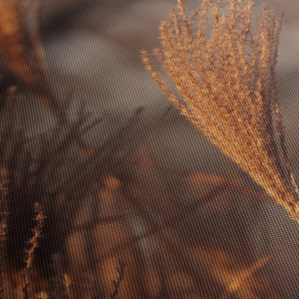 Kép - Cortaderia (órával) (90x30 cm)