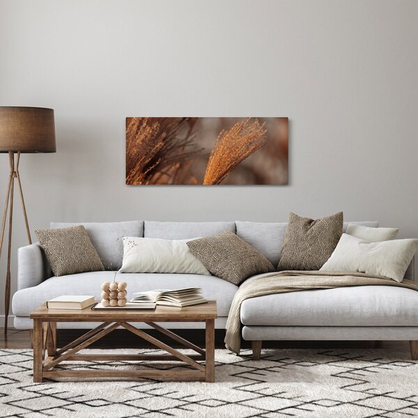 Kép - Cortaderia (120x50 cm)