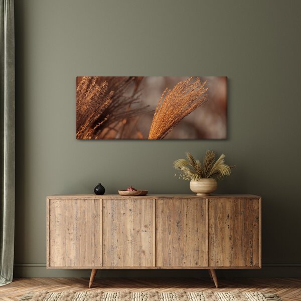Kép - Cortaderia (120x50 cm)