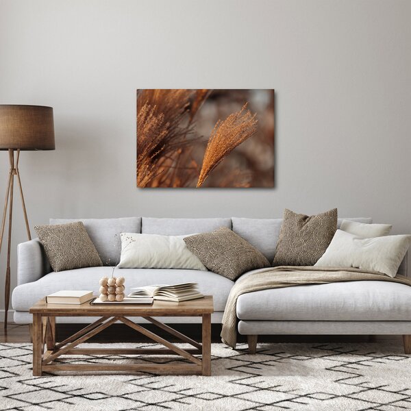 Kép - Cortaderia (70x50 cm)