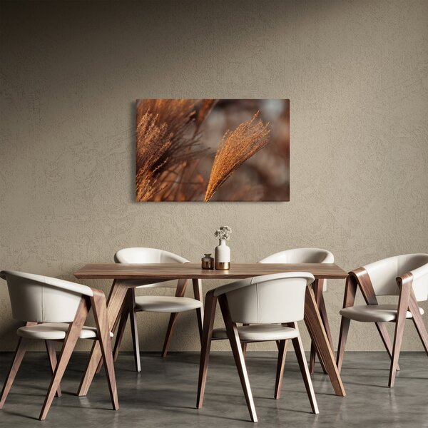 Kép - Cortaderia (90x60 cm)