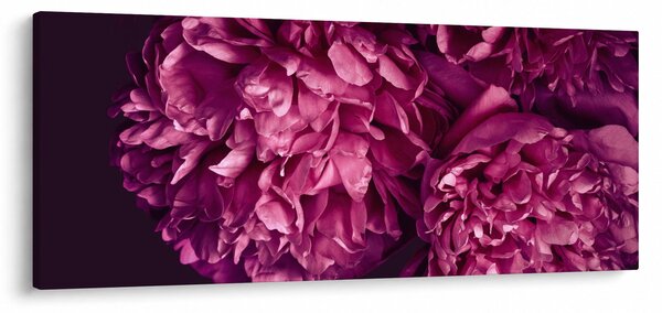 Kép - Csokor pünkösdi rózsa (120x50 cm)