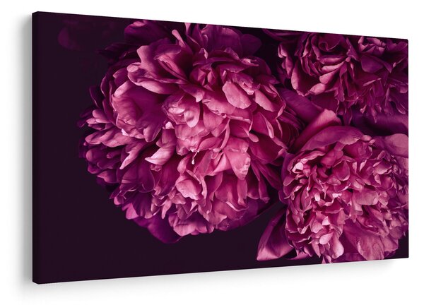 Kép - Csokor pünkösdi rózsa (90x60 cm)