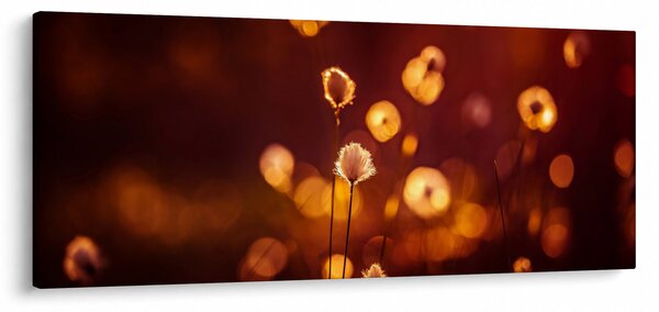 Kép - Reggel (120x50 cm)