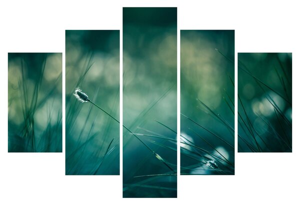 Kép - A fű részlete (150x105 cm)