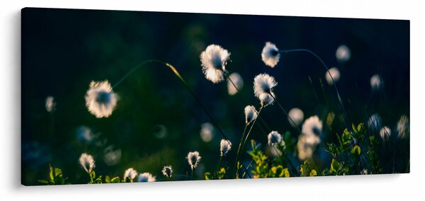 Kép - Fű (120x50 cm)