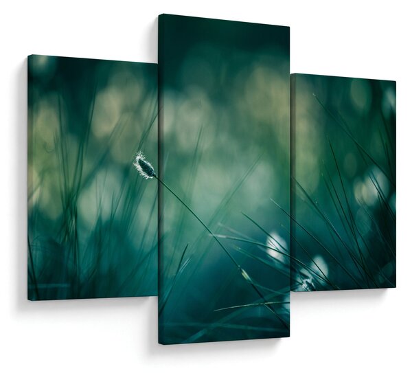 Kép - A fű részlete (90x60 cm)