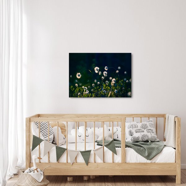 Kép - Fű (70x50 cm)