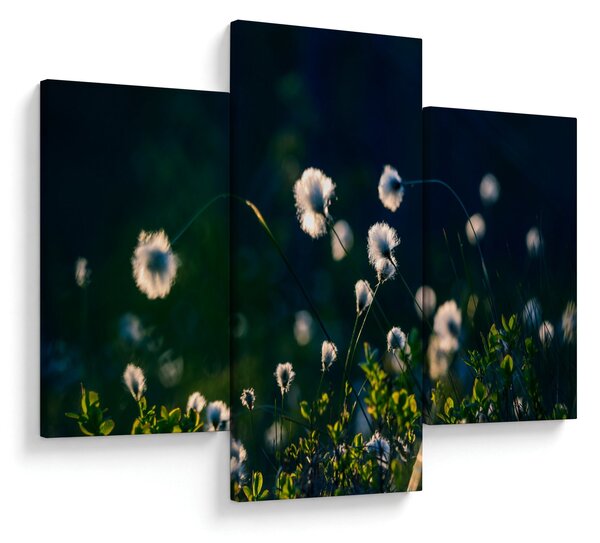 Kép - Fű (90x60 cm)