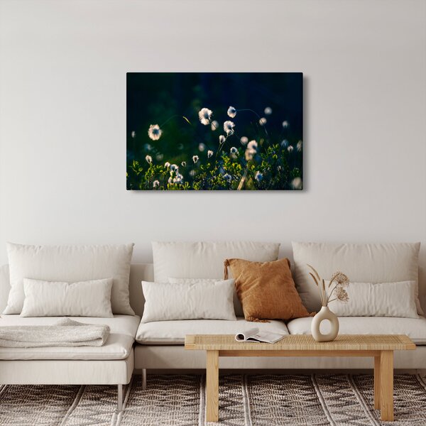 Kép - Fű (90x60 cm)