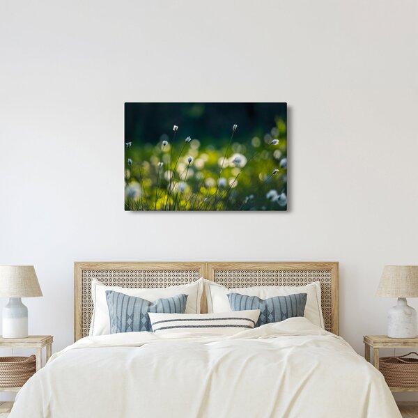 Kép - Fű (90x60 cm)