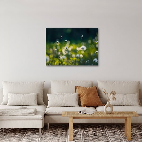 Kép - Fű (70x50 cm)