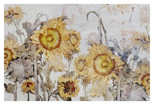 Kép - Napraforgó a falban (90x60 cm)