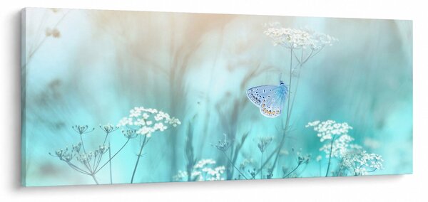 Kép - Pillangó kékben (120x50 cm)
