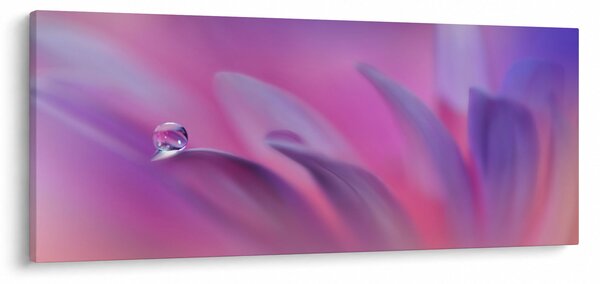 Kép - Csepp a virágon (120x50 cm)