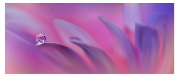 Kép - Csepp a virágon (120x50 cm)