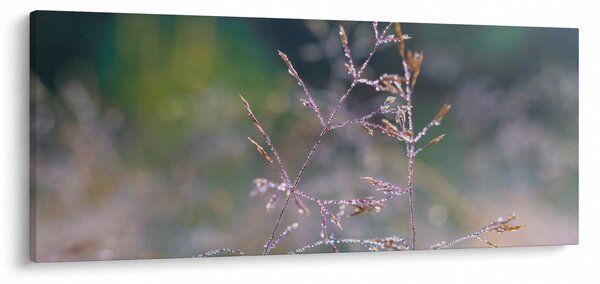 Kép - Fű részlet (120x50 cm)