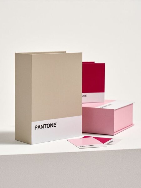 Sinsay - Tárolódoboz Pantone - bézs