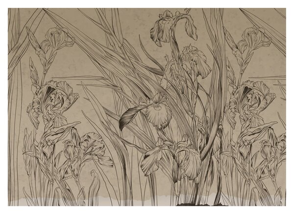 Kép - A növények körvonalai (70x50 cm)