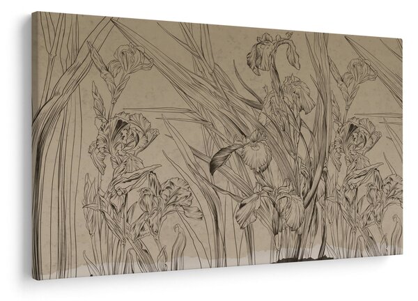 Kép - A növények körvonalai (90x60 cm)