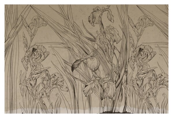 Kép - A növények körvonalai (90x60 cm)
