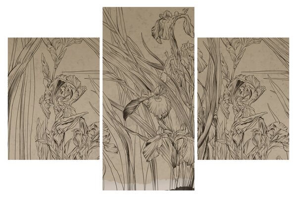Kép - A növények körvonalai (90x60 cm)