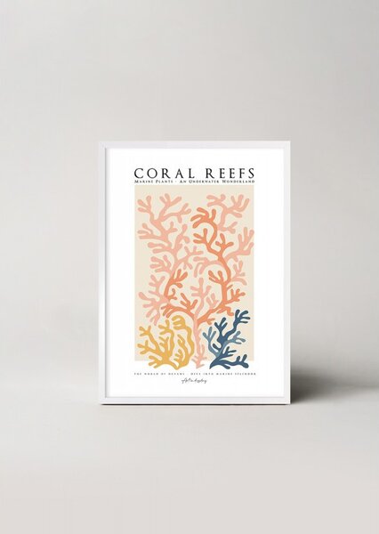 Magic of Coral Reefs kép
